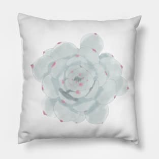 Echeveria Watercolor Pillow