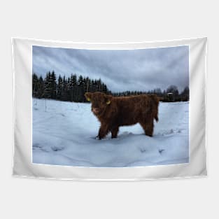 Scottish Highland Cattle Calf 1601 Tapestry