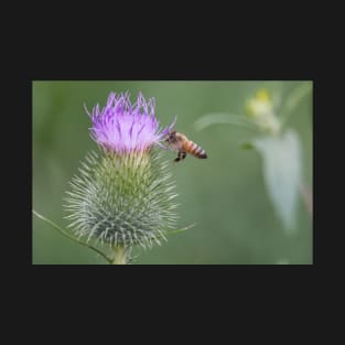 Thistle-Bee T-Shirt