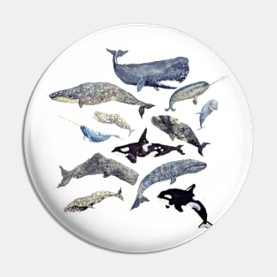 Whale Song Pin