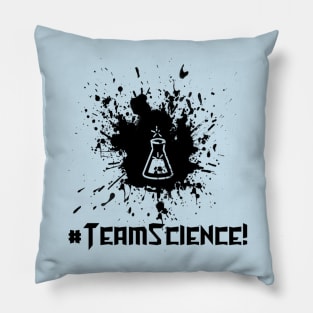 #TeamScience Pillow