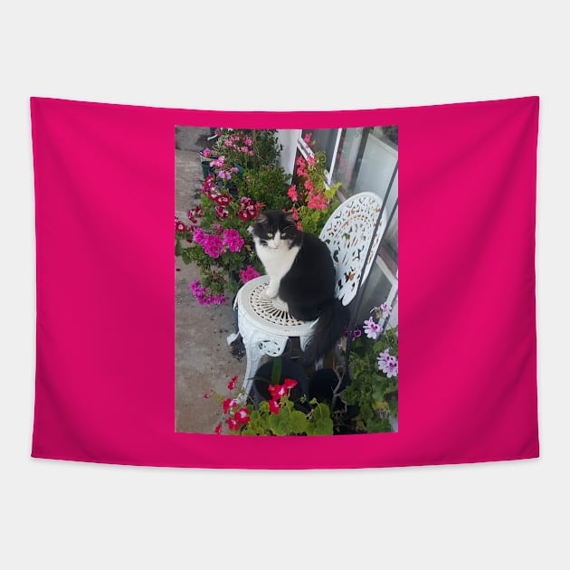 Tuxedo Cat Cute and Beautiful Flowers Tapestry by SarahRajkotwala