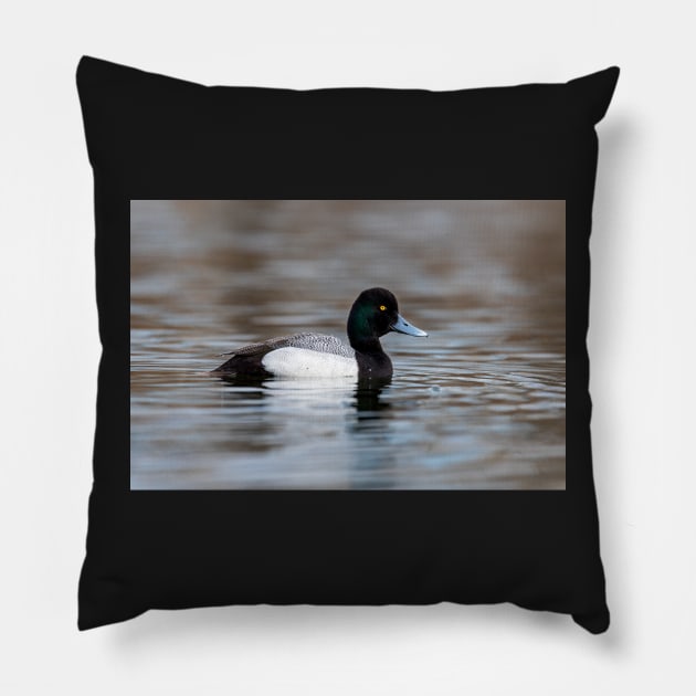 Greater Scaup Pillow by gdb2