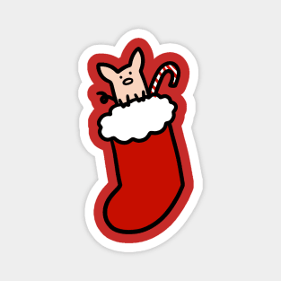 Christmas Stocking Pig Magnet