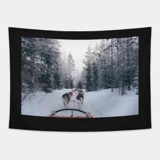 Winter Sleigh Ride Tapestry