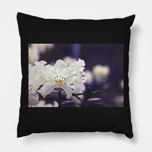 Rhododendron Daze Pillow