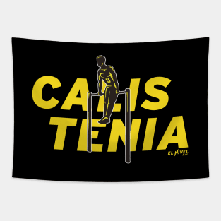 CALISTENIA Front Lever Tapestry