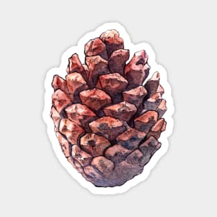 Pine cone - watercolor illustration Magnet