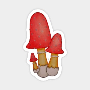 Poisonous - Bright Red Amanita Mushrooms Magnet