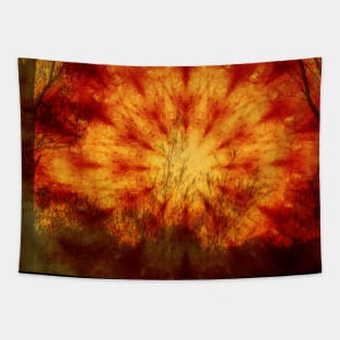 Mysterious mandala sunset landscape Tapestry