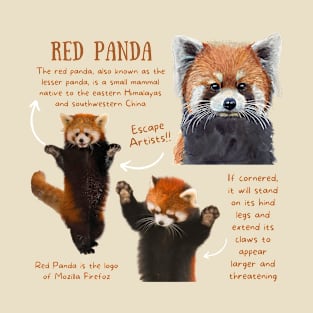 Animal Facts - Red Panda T-Shirt