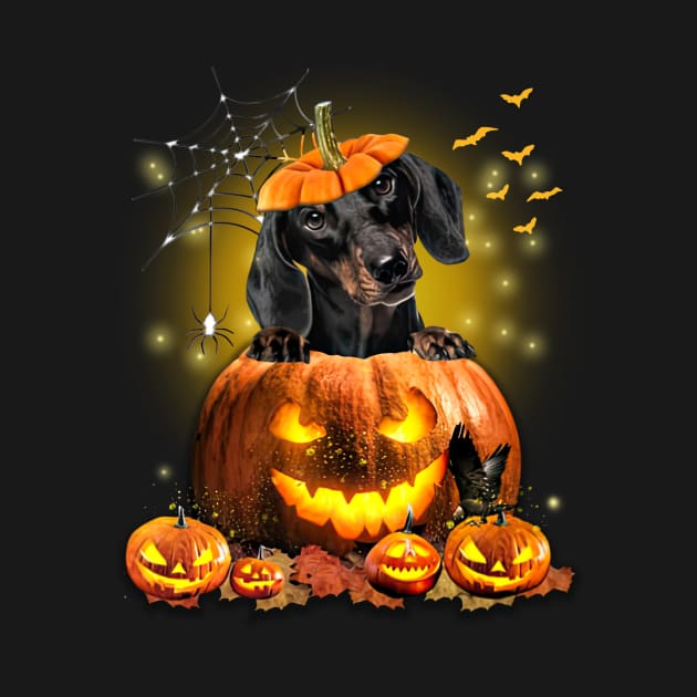 Black Dachshund Spooky Halloween Pumpkin Dog Head by Centorinoruben.Butterfly