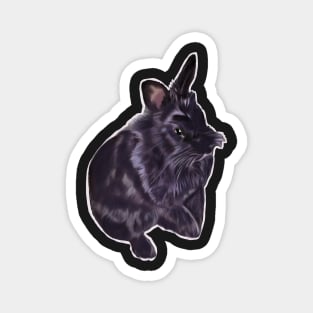 bunny rabbit cute  ebony colored coloured lionhead bunny rabbit Magnet