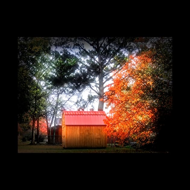 Red roof shed in Autumn by PandLCreations