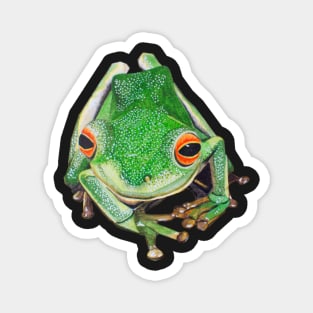 Tree frog Magnet