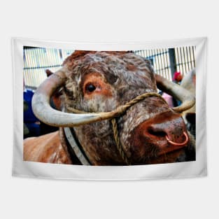 English Long Horn Cow Cattle Tapestry