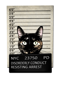 Kitty Mugshot Magnet