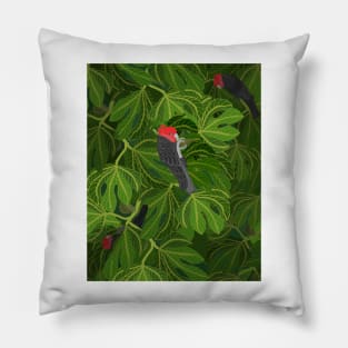 Gang Gangs Feeding in the Fig Tree Pillow