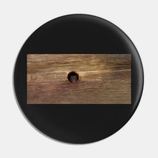 George the mouse in a log pile house - peep hole Pin