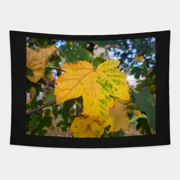 Autumn Yellow Leaf Tapestry by Anastasia-03