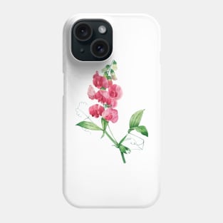 Everlasting Pea - Botanical Illustration Phone Case