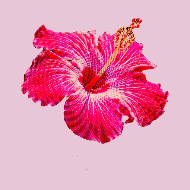 Hibiscus Summer Print by Asilynn