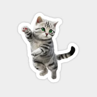 Cute Playful Kitten, Cat Lover Magnet