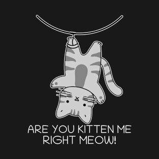 Are You Kitten Me Right Meow T-Shirt