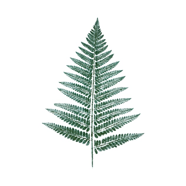 Fern Leaf by Nikokosmos