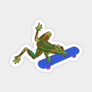 Skating Frog Magnet