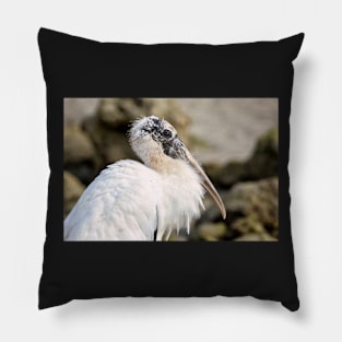 A Portrait of a Stork Pillow