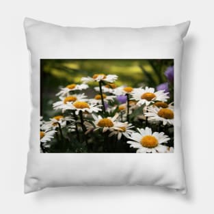 Daisies Pillow