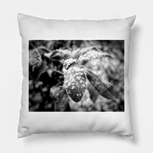 Frosted Nature Pillow