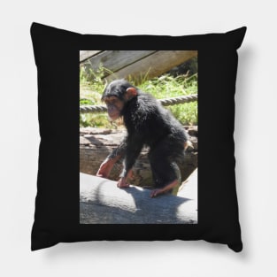 Baby Chimpanzee Pillow