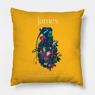 Living in Extraordinary Times Pillow