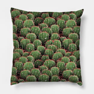 Cactus Design Pillow