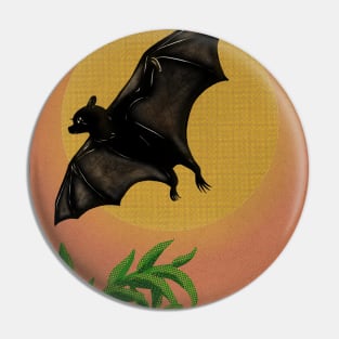 Sunset and Pteropus Pin