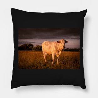 Bullock#9 Pillow
