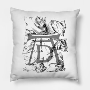 Albrecht Dürer 003 Pillow