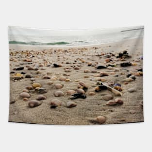 Seashell bed Tapestry