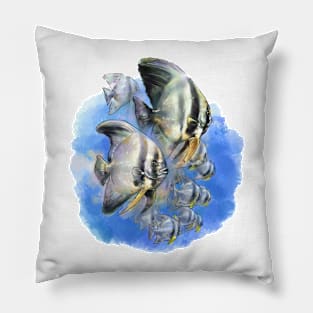 Batfish SCUBA Pillow