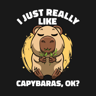 I Just Really Like Capybaras Lover Rodent Zoo Cute Capybara T-Shirt