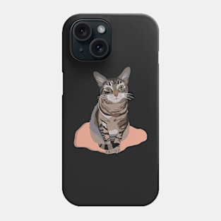 Tabby Cat Phone Case