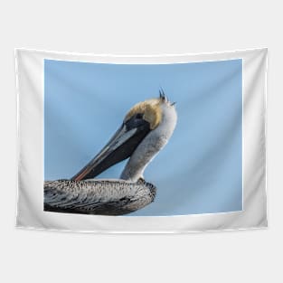 Brown pelican in Calabash Tapestry