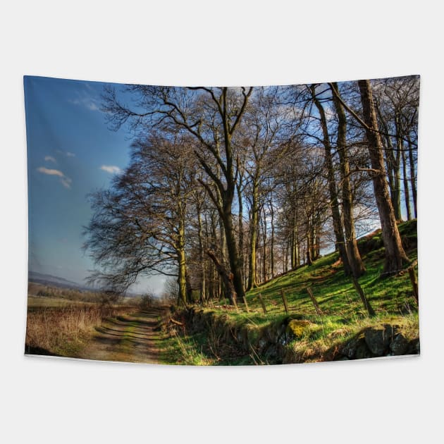 Along Platt Hill Lane Tapestry by tomg