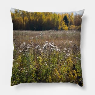 Trail through the park. Pillow