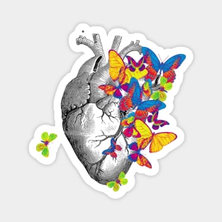 Heart Human Anatomy jellow blue green butterflies Magnet