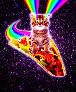 Rainbow Laser Eyes Galaxy Cat Riding Taco Magnet