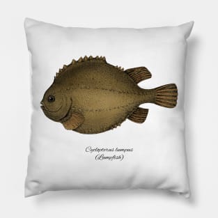 Cyclopterus lumpus Pillow