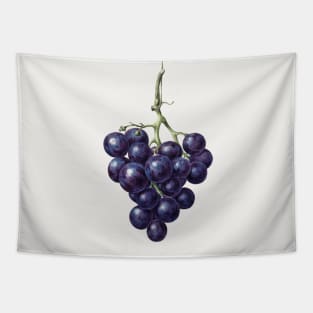 Bunch of blue grapes by Jean Bernard Tapestry